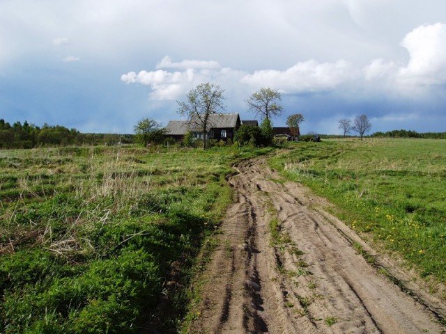 деревня луга фото