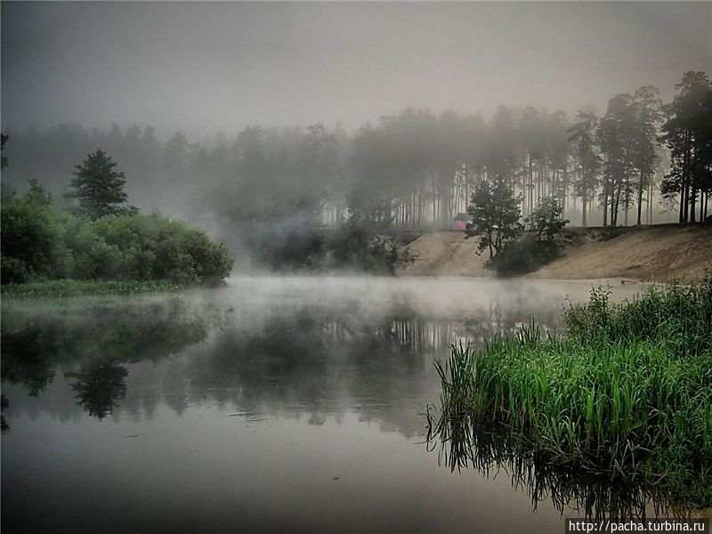 деревня река туман восход фото