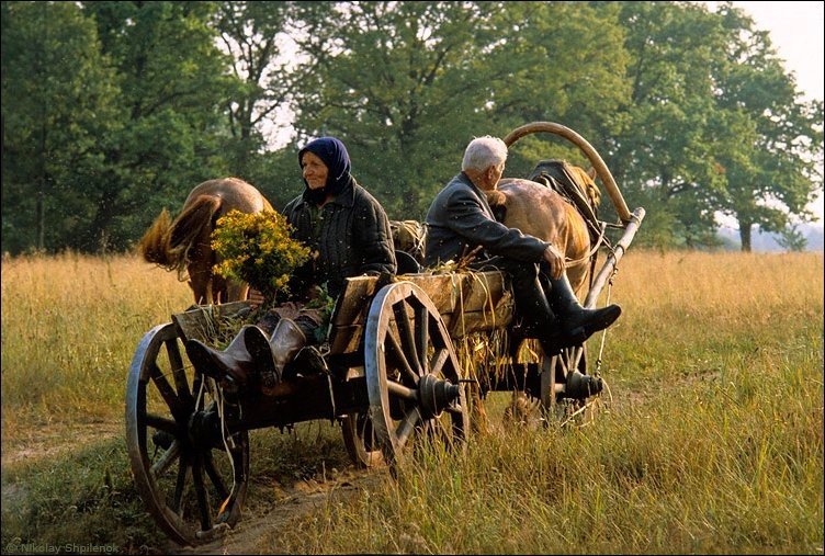 деревня телега фото