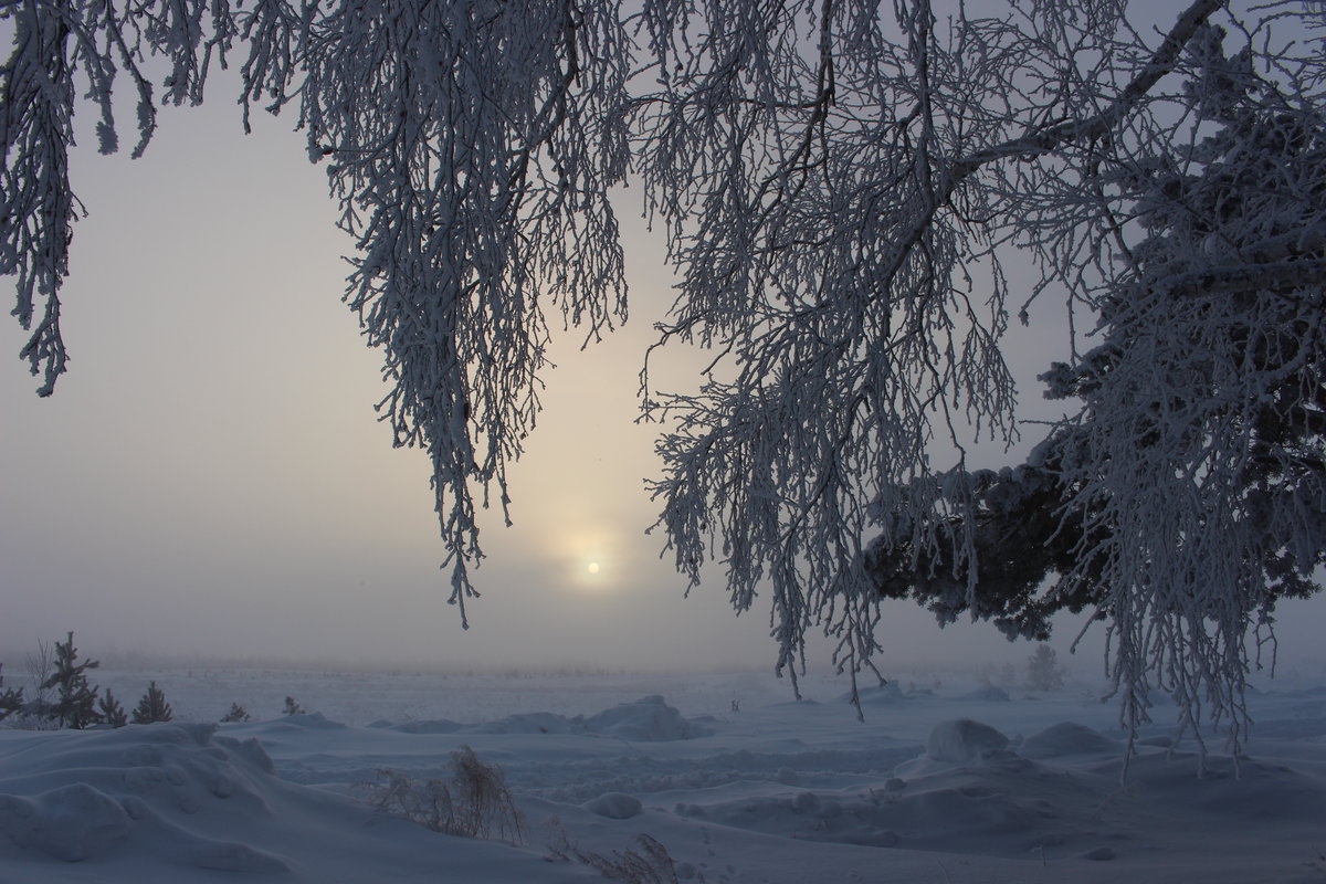 деревня зима туман фото