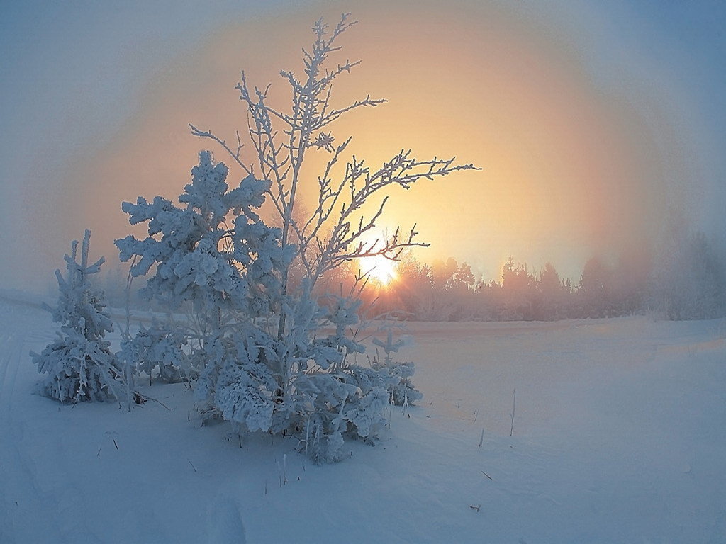 доброе утро картинки зимние февральские фото