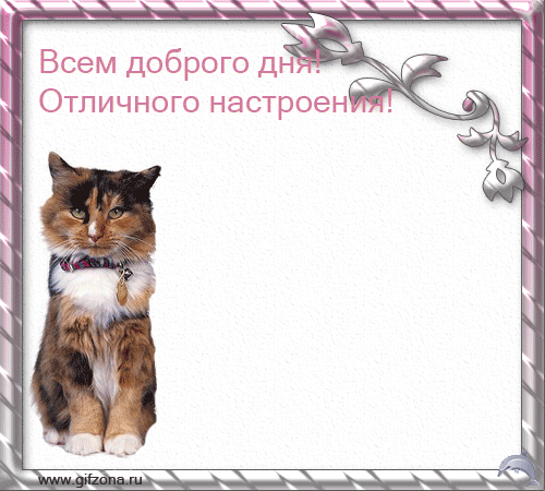 добрый день открытки фото
