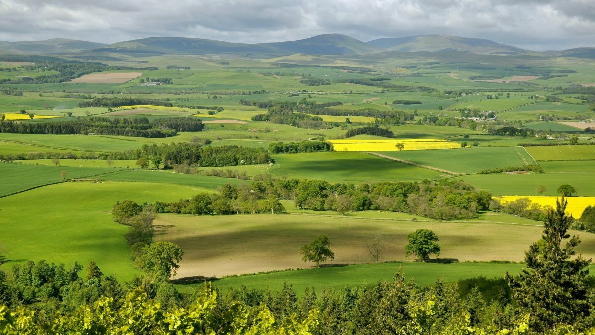 долина картинки фото