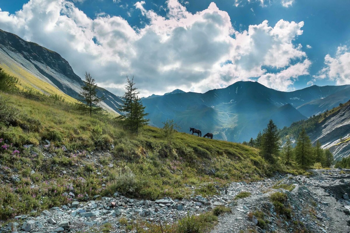 долина ярлу алтай фото