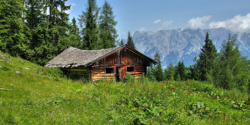 дом в лесу в горах картинки фото