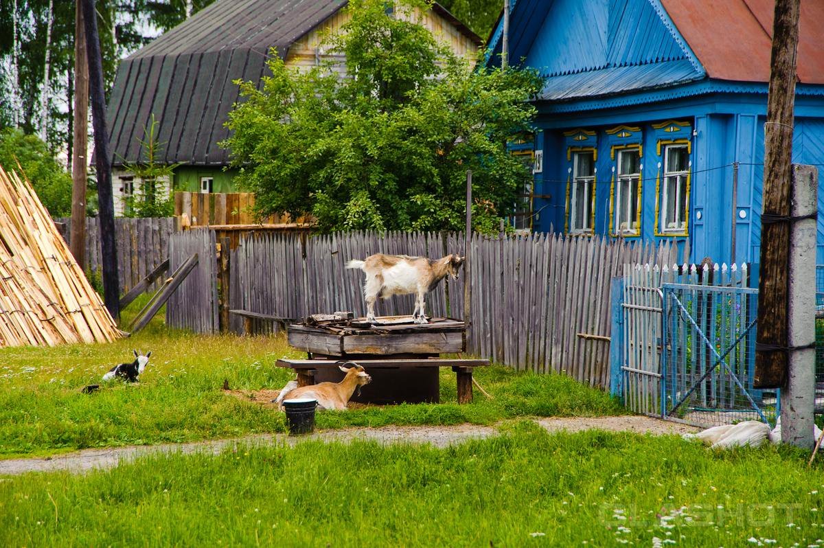 домик в деревне фото летом фото