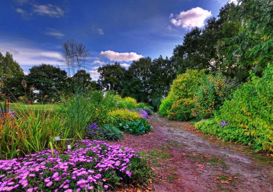 дорожка в парке цветы фото