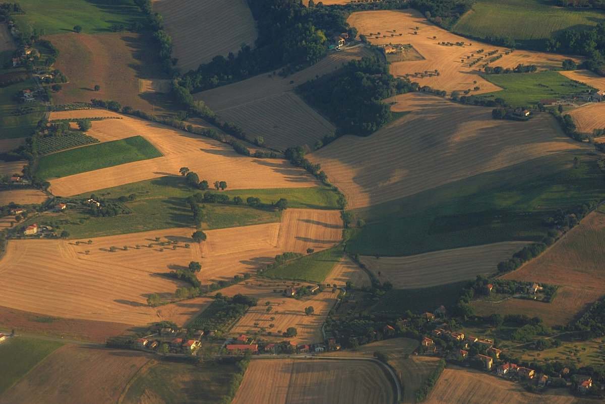 field farm фото