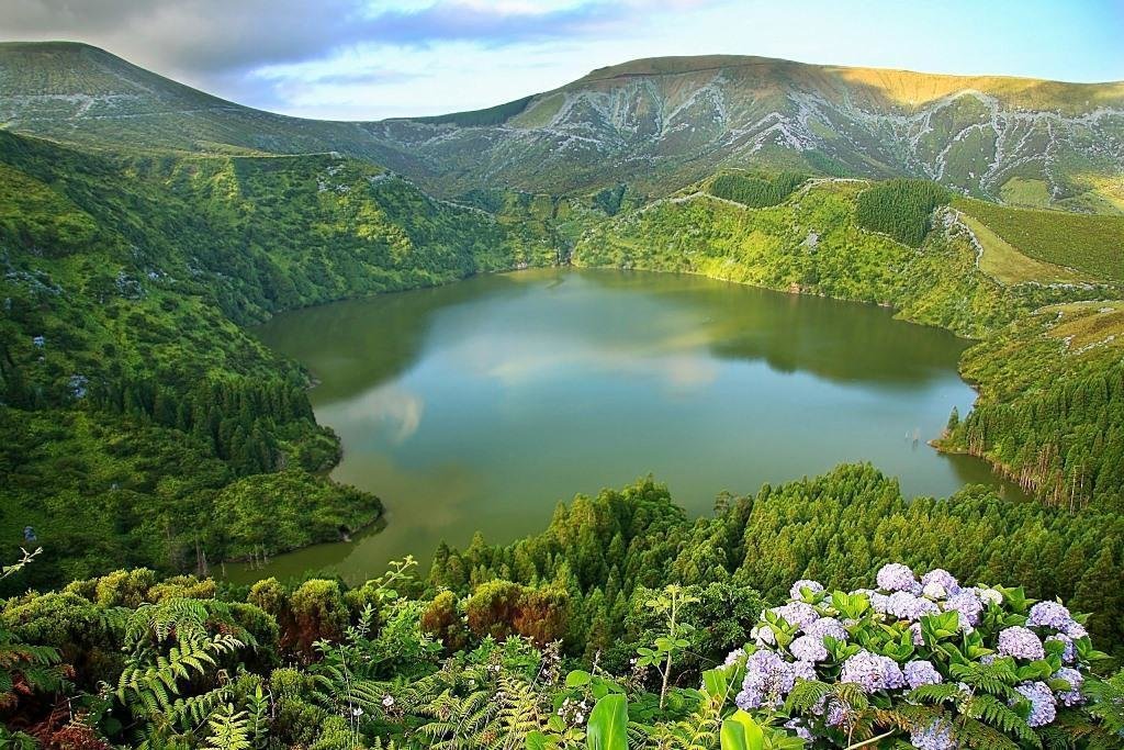 флориш азорские острова фото