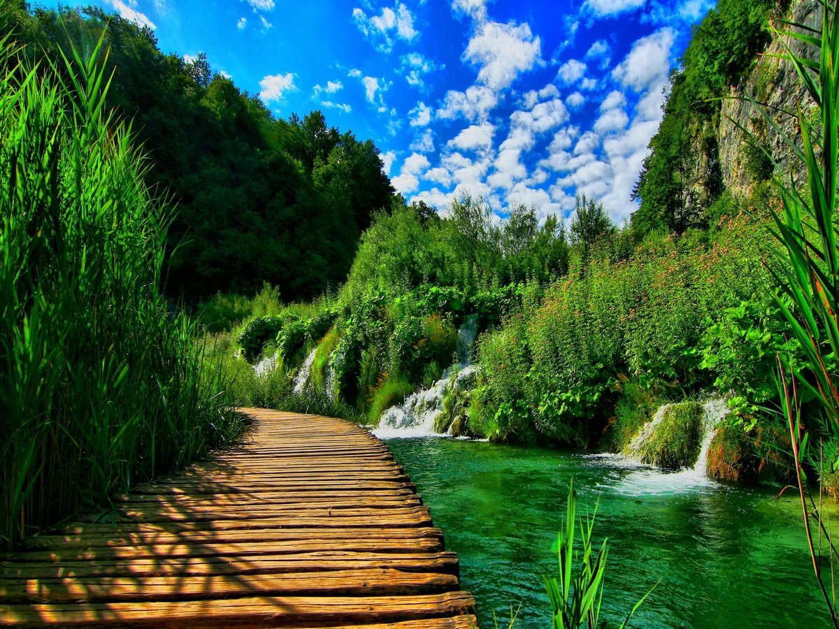 фон для рабочего стола природа фото