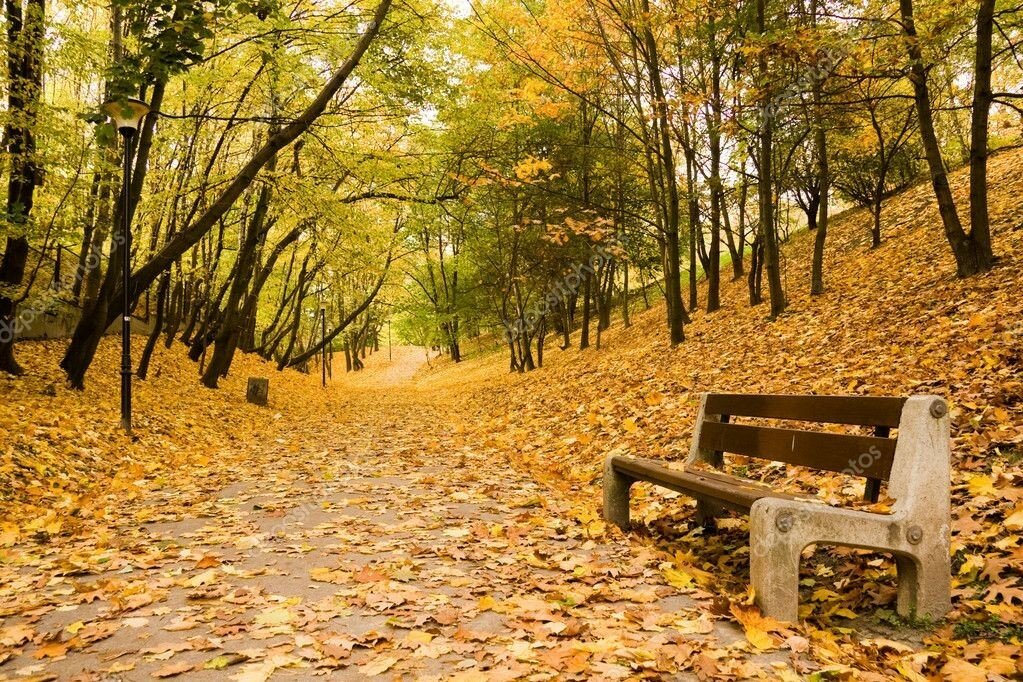 фон осень в парке фото