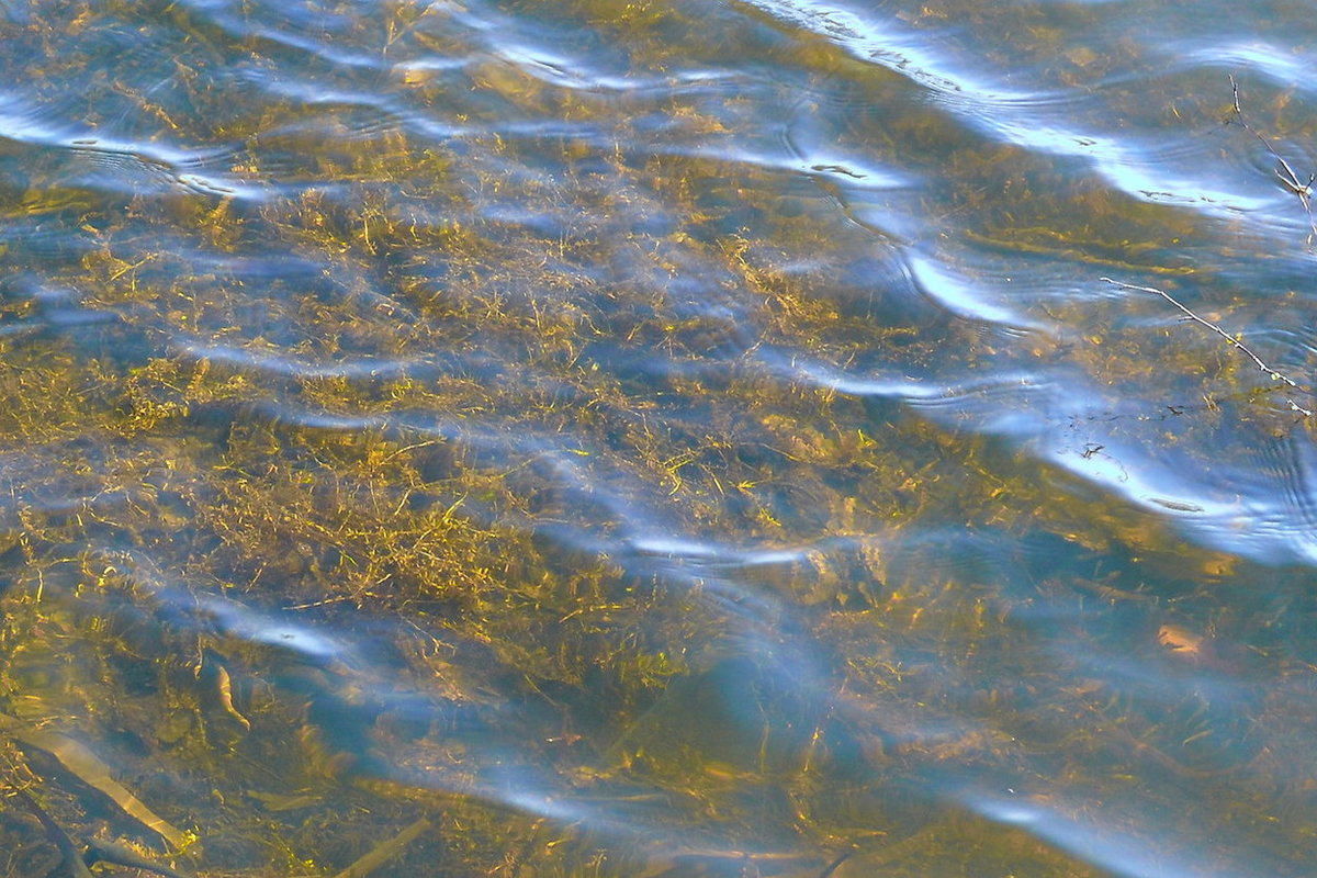 фон вода фото
