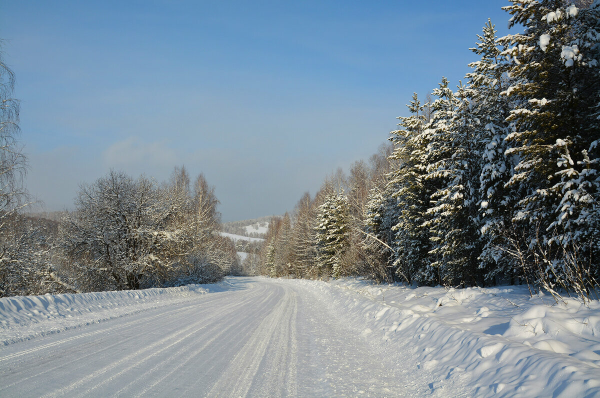 фон зимняя дорога в лесу фото