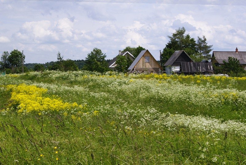 фотки лето деревня фото