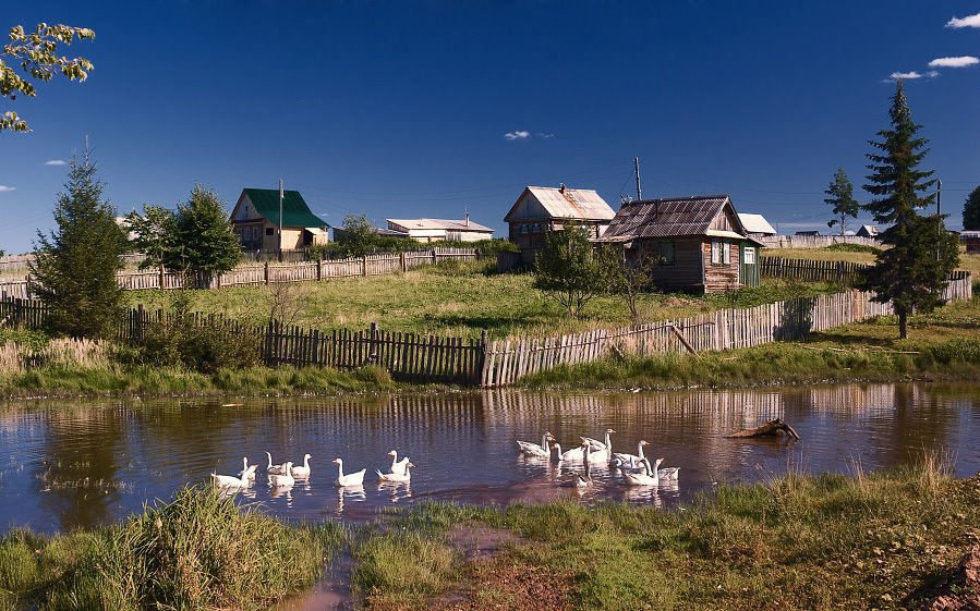 фото деревни летом россия фото