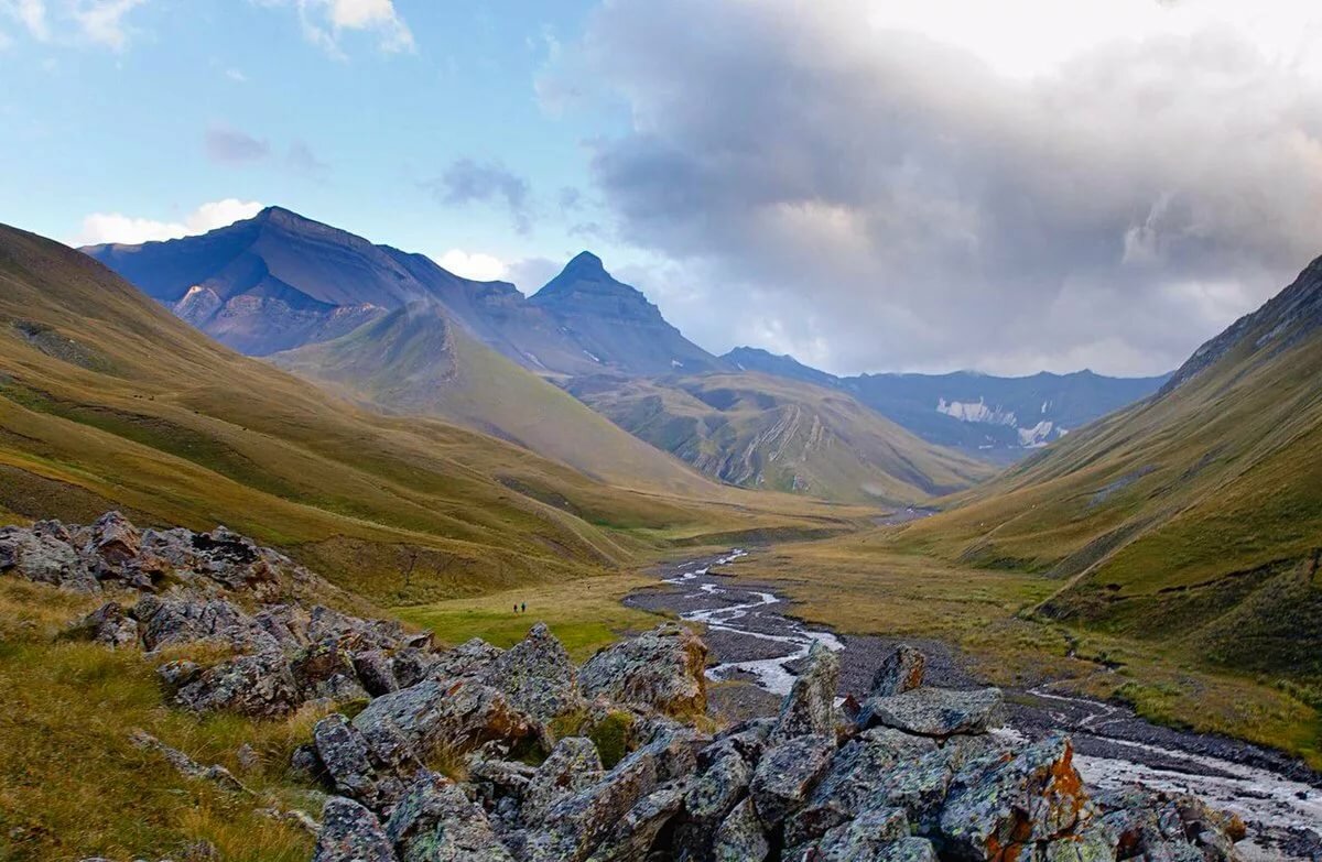 фото елангаш алтай фото