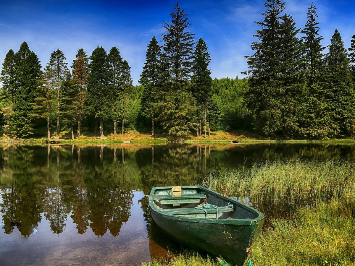 фото лес, река и лодка фото