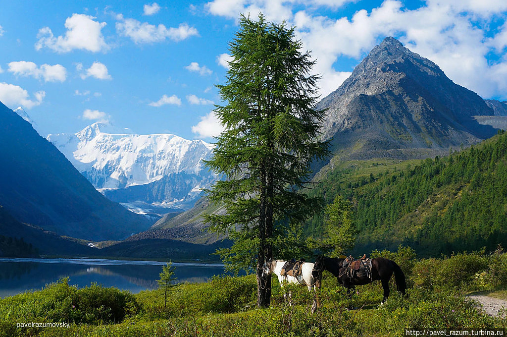 фото пейзаж горный алтай гора белуха фото