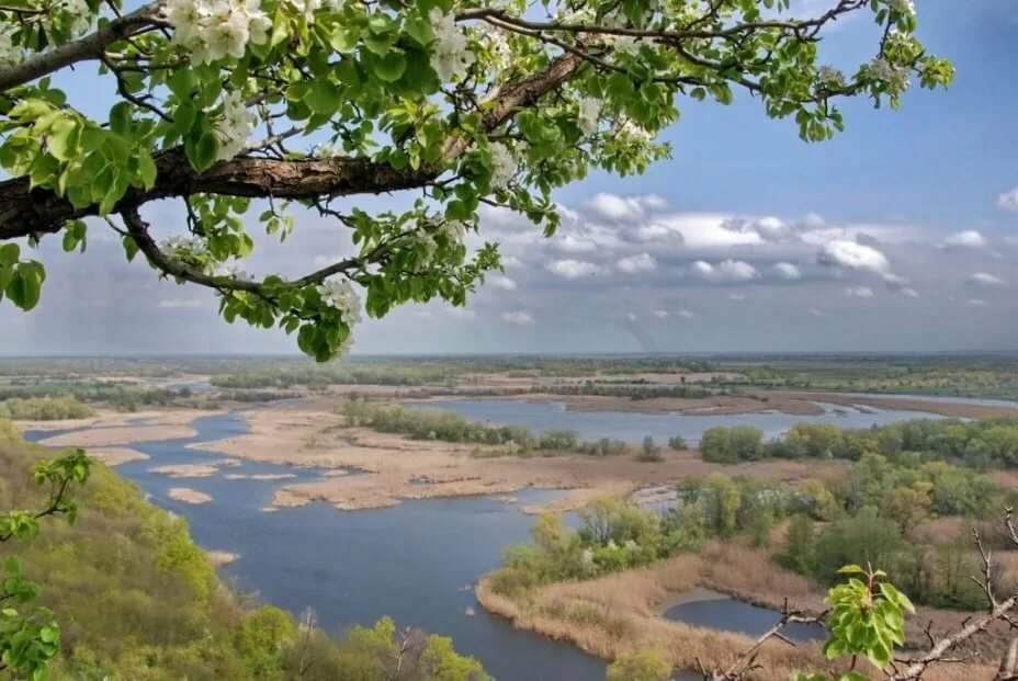 фото природы река вятка фото