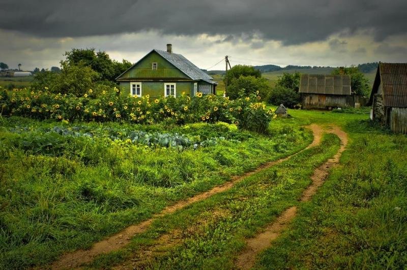 фото родной дом в деревне фото
