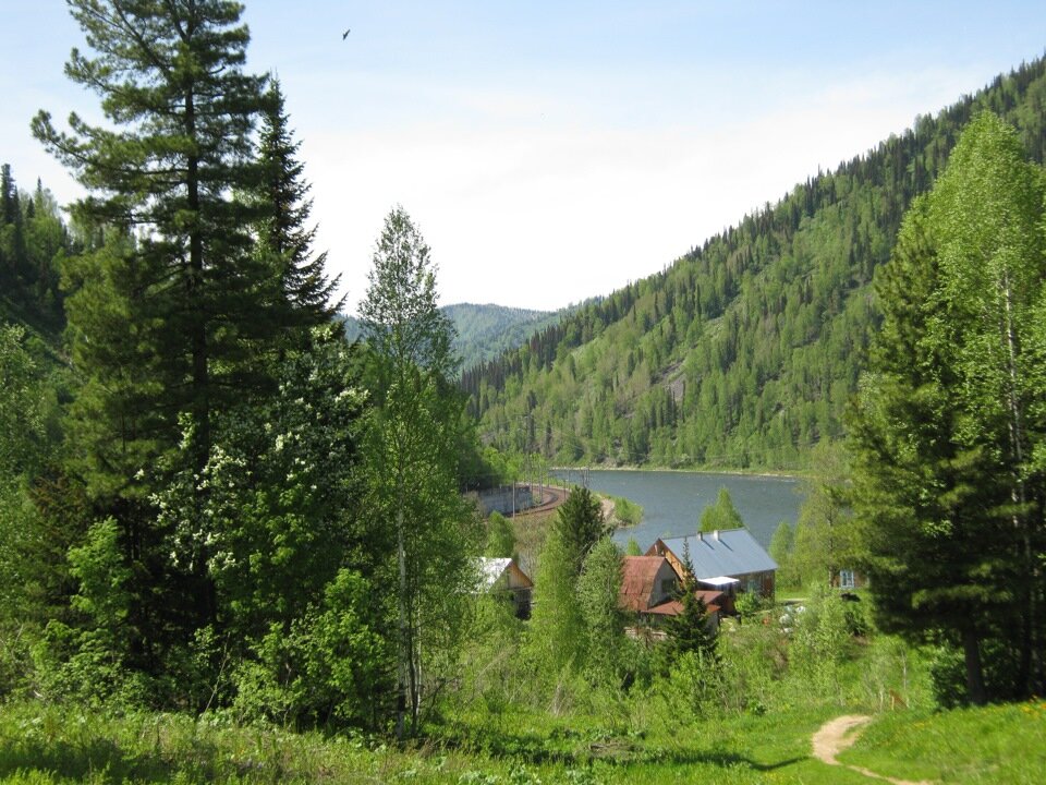 фото тайги сибири фото