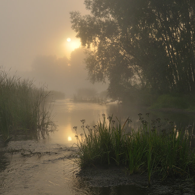фото утренний туман на реке фото