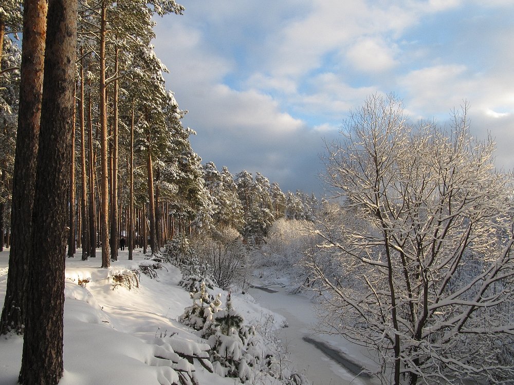 фото зима берег лес фото