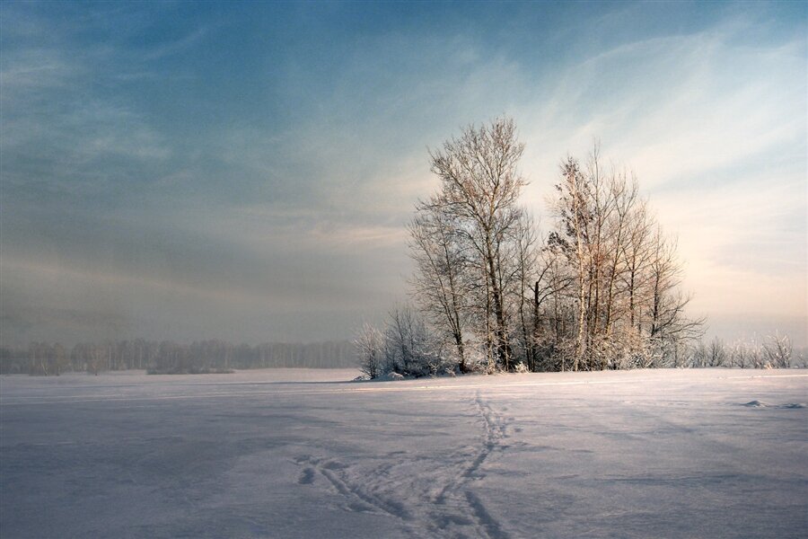 фото зимний пейзаж пасмурно фото