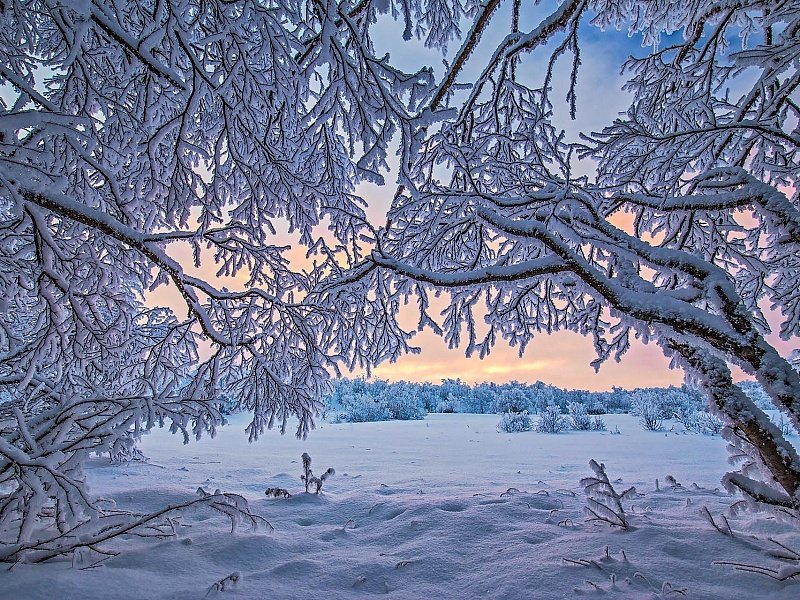 фото зимы зимние пейзажи фото