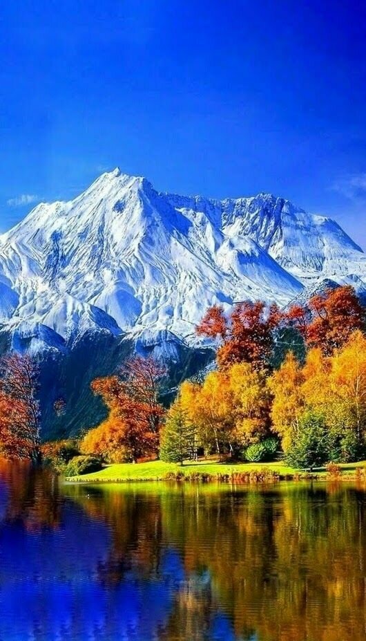 фотографии природы фото
