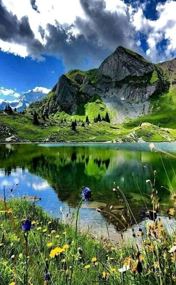 фотографии природы фото