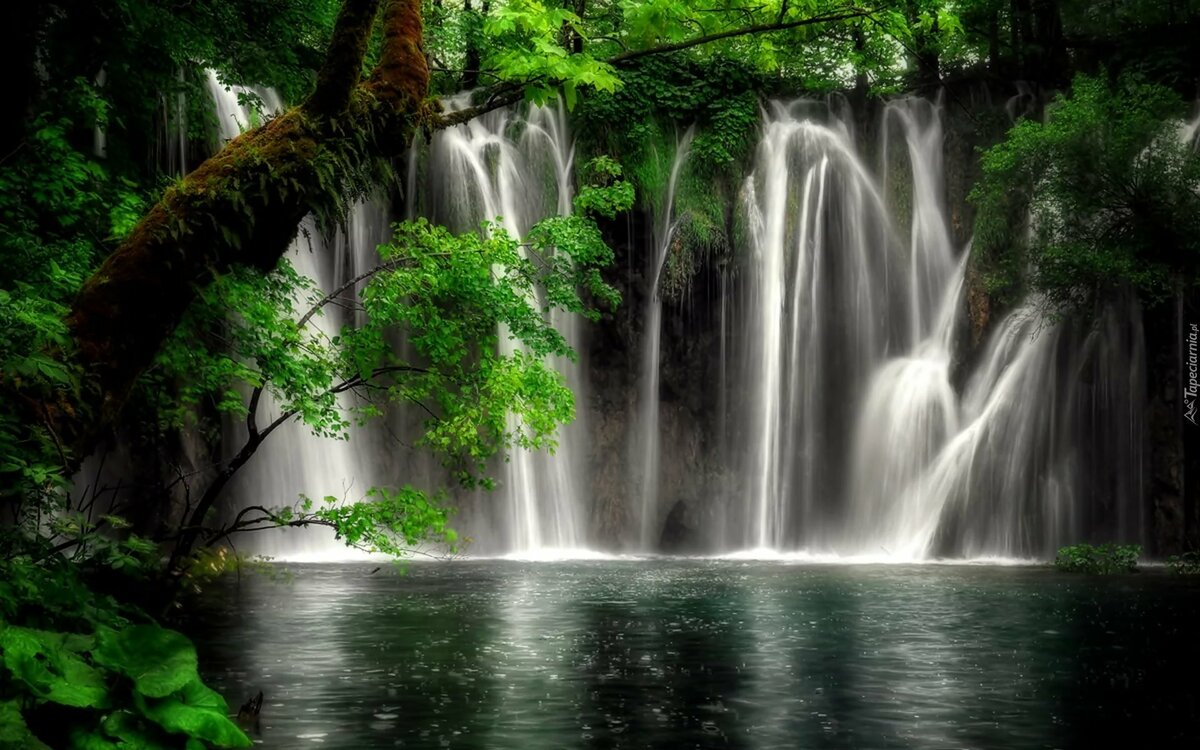 фотообои водопад фото