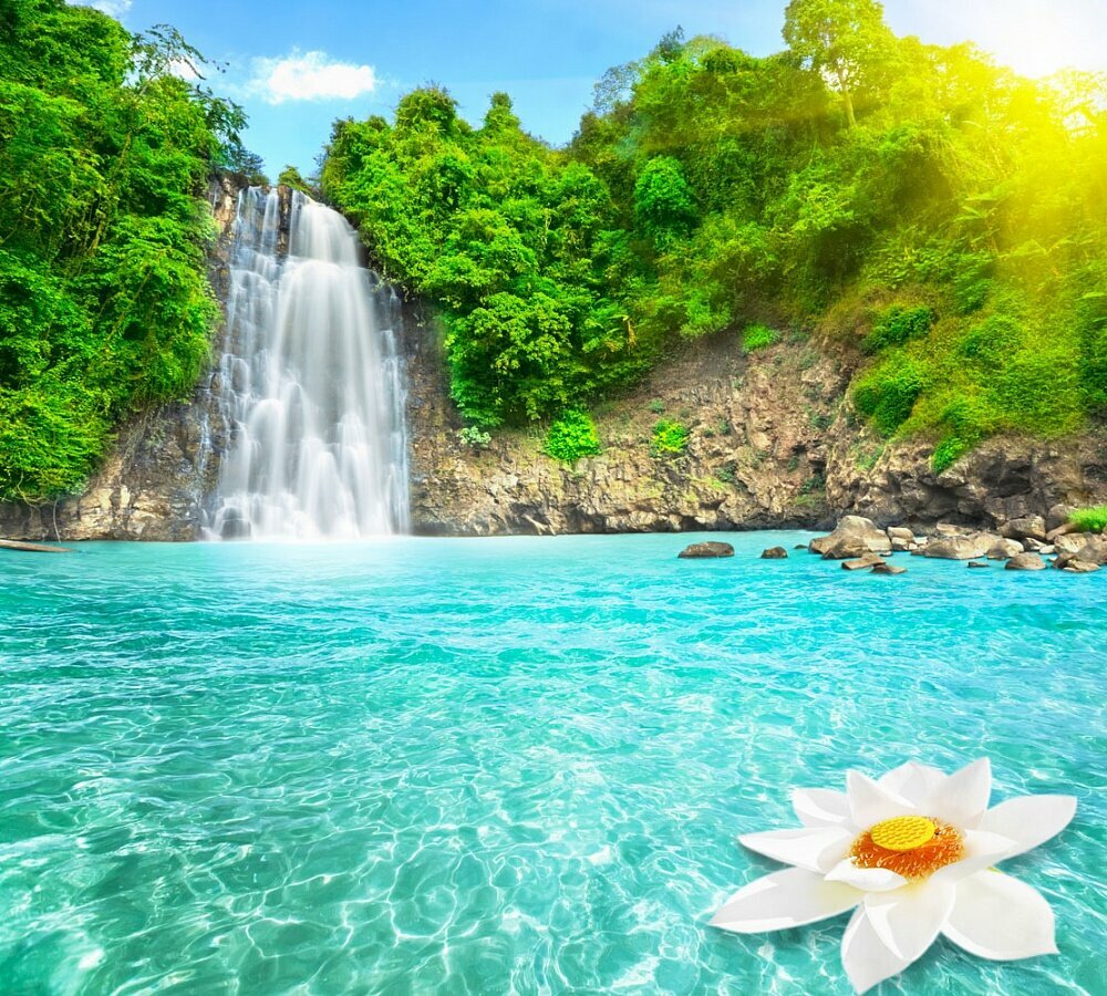 фотообои водопад фото