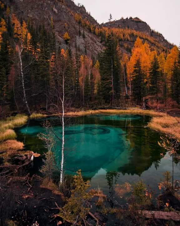 гейзерное озеро алтай фото