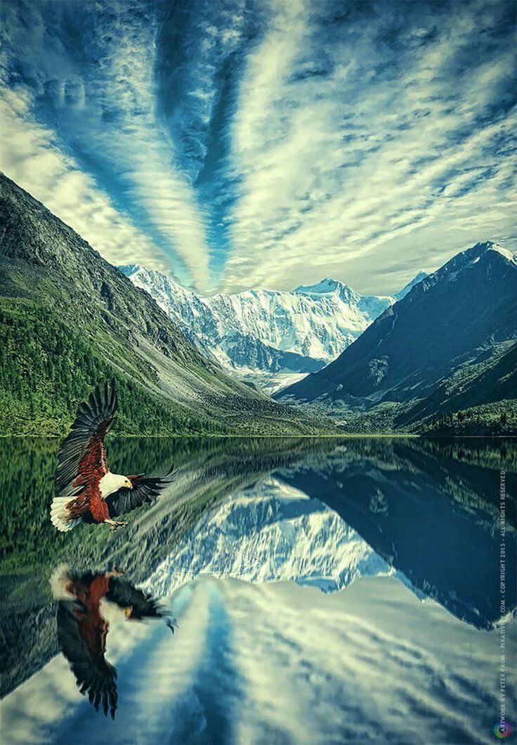 гора белуха горный алтай фото