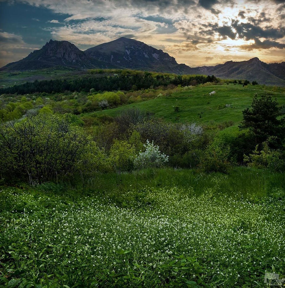 гора бештау фото