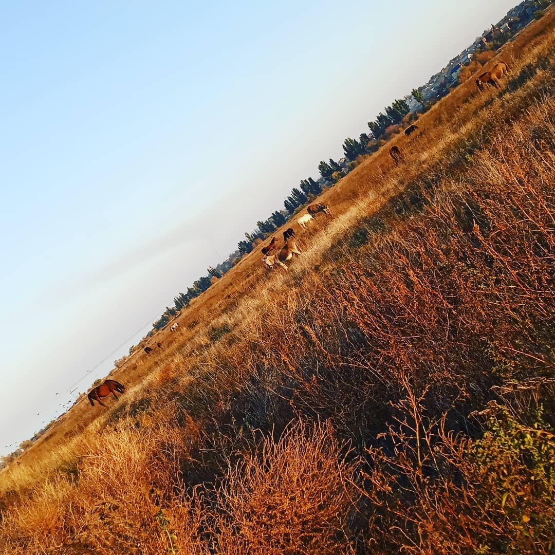 гора гребени оренбург фото