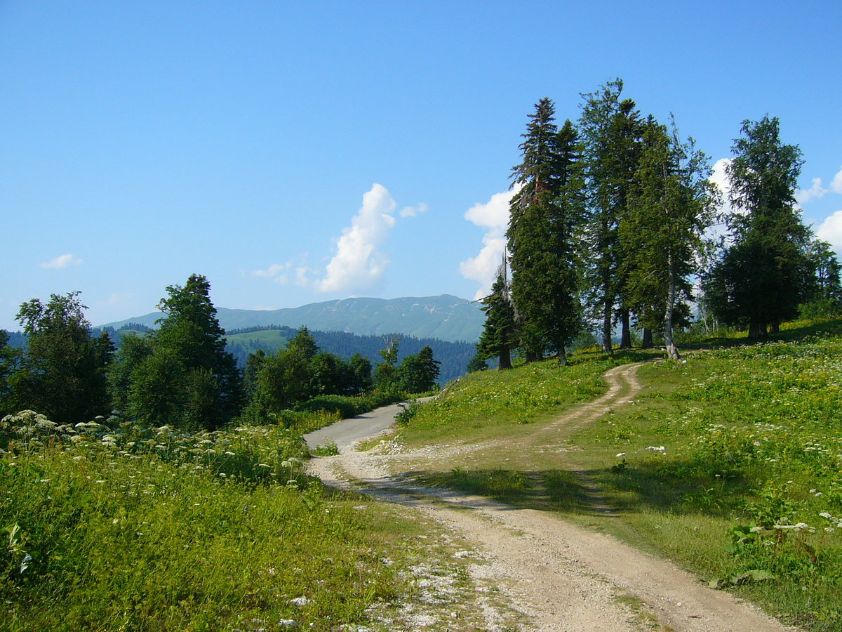 гора мамзышка фото