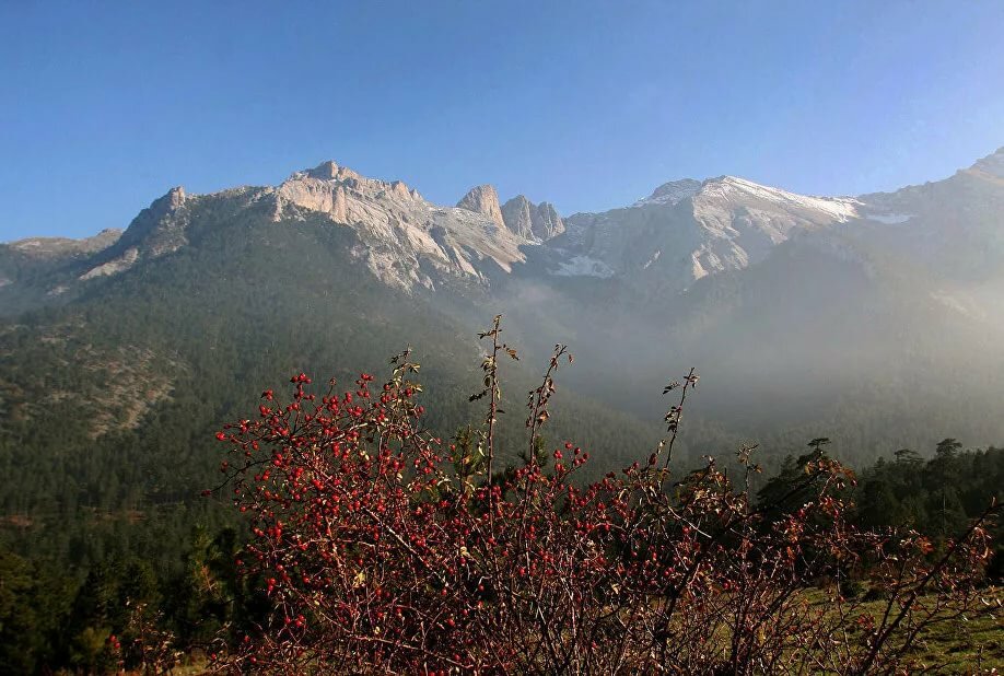 гора олимп фото