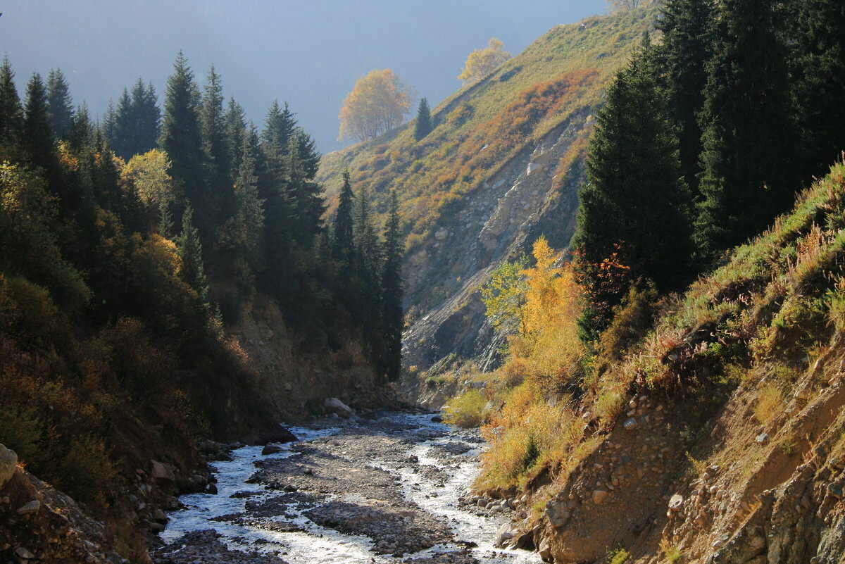горная река фото