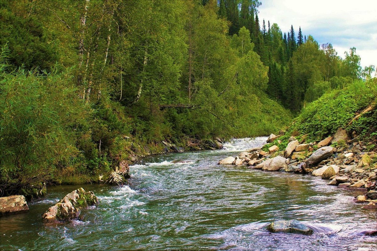 горная река фото