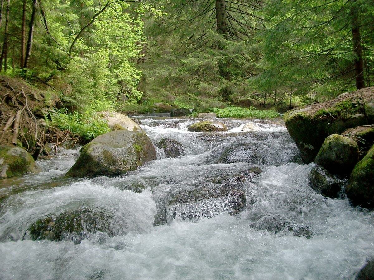 горная река фото
