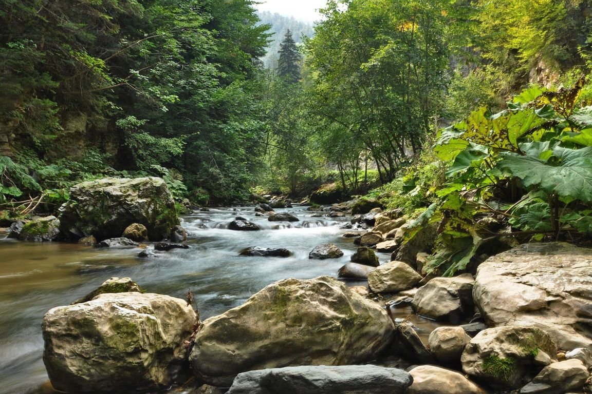 горная река картинки фото