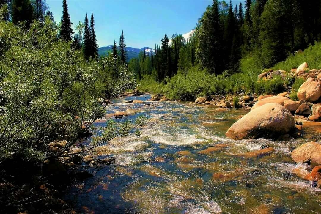 горная река картинки фото