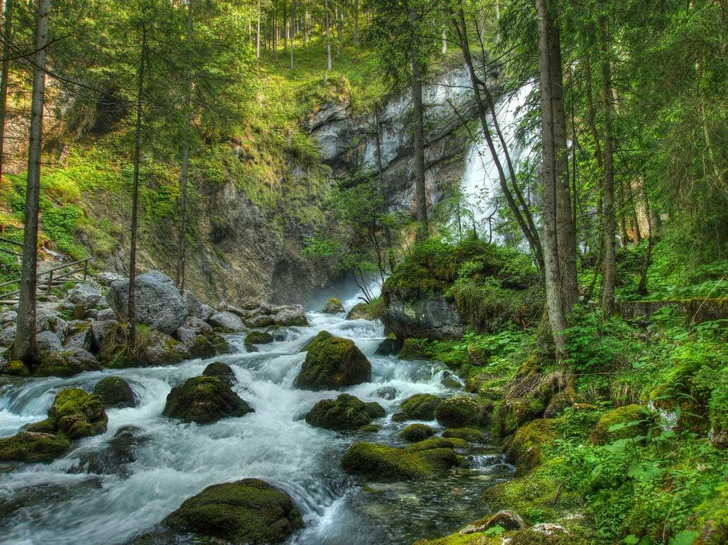 горная река в лесу фото
