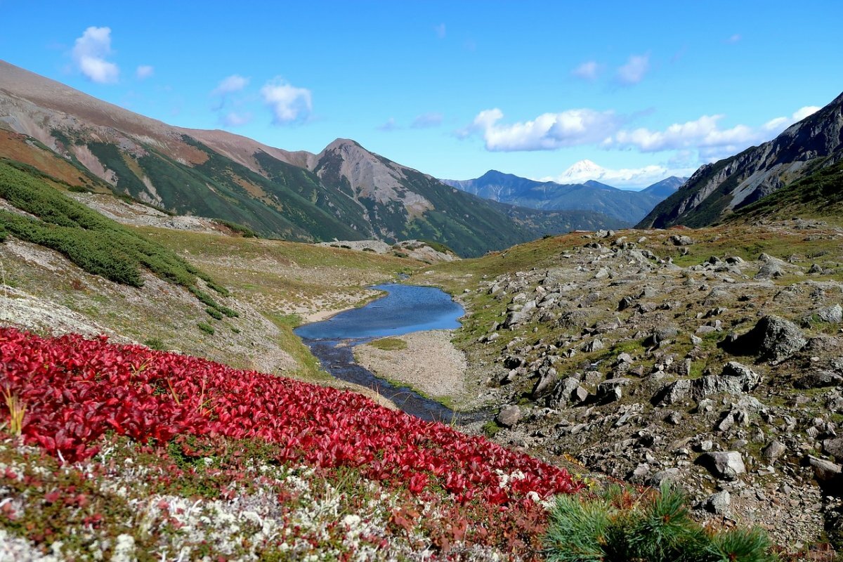 горная тундра фото