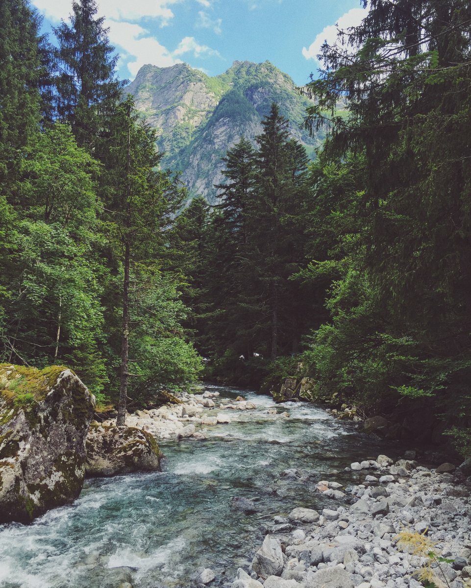 горные реки абхазии фото