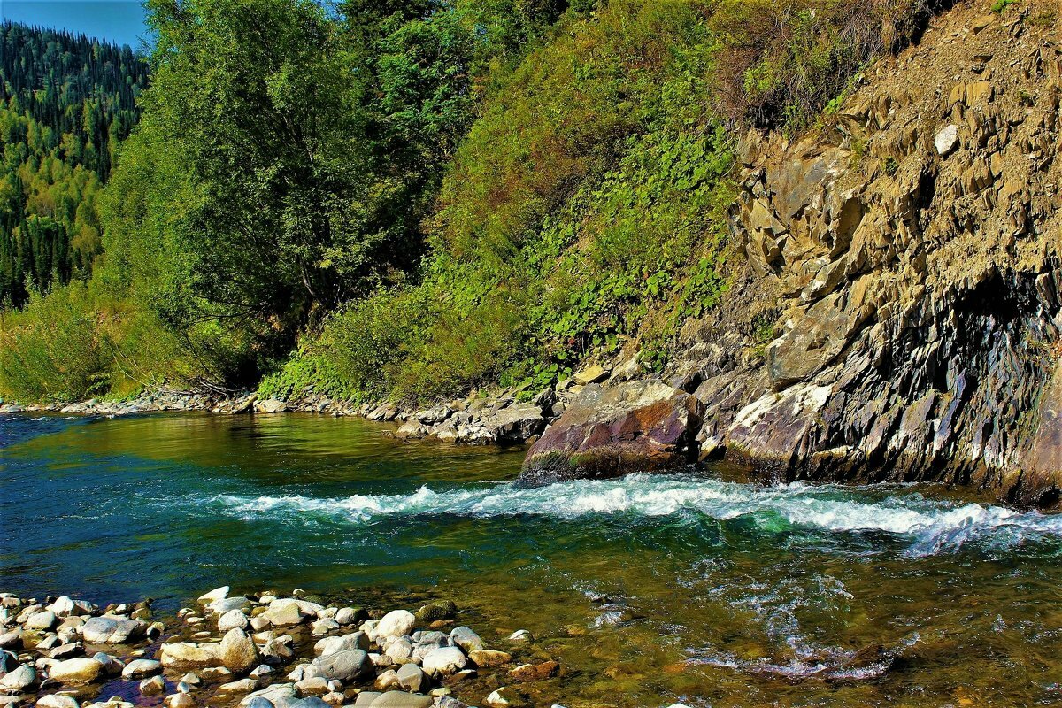 горные реки россии фото