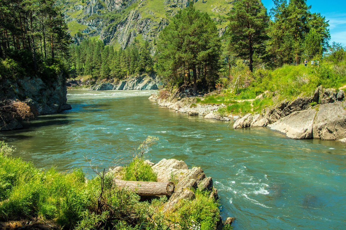 горный алтай чемал фото
