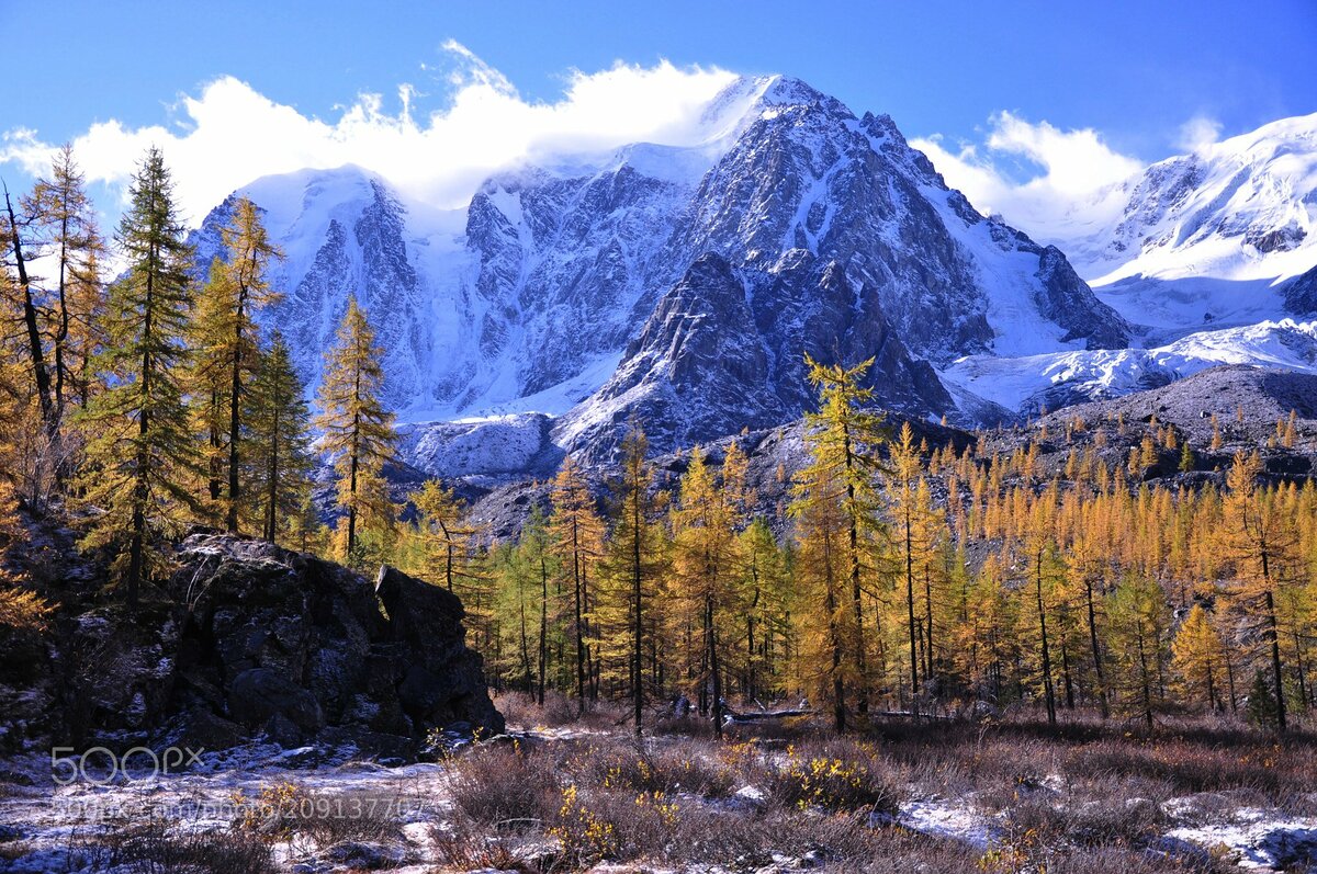 горный алтай осень фото